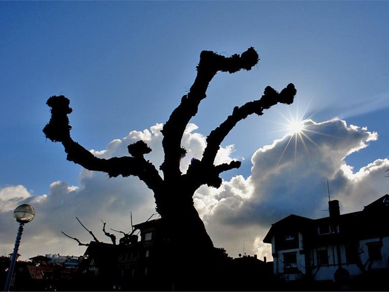 Luz en Donosti.jpg